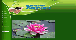 Desktop Screenshot of brewerint.com